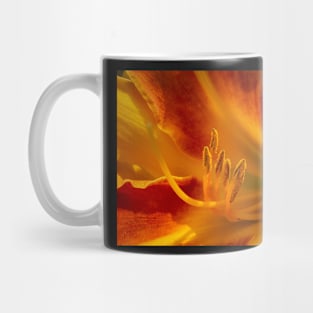 Orange Amaryllis Lily Mug